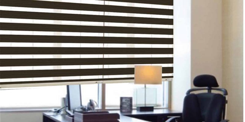 Ak&uuml;l&uuml; Zebra G&ouml;lgelik