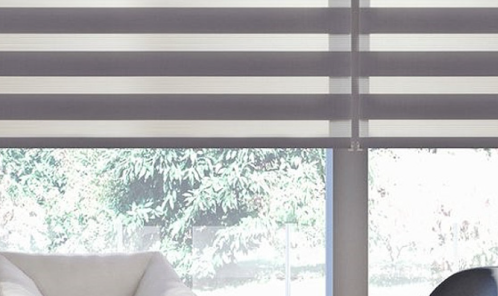 Modern Bir Oturma Odası için Zebra Perdeler - Mükemmel Görünümü Yakalayın