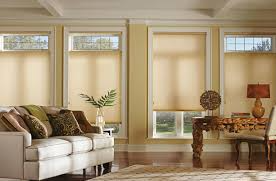 Gündüz ve Gece Hücresel Gölgeler İçin Nihai Kılavuz